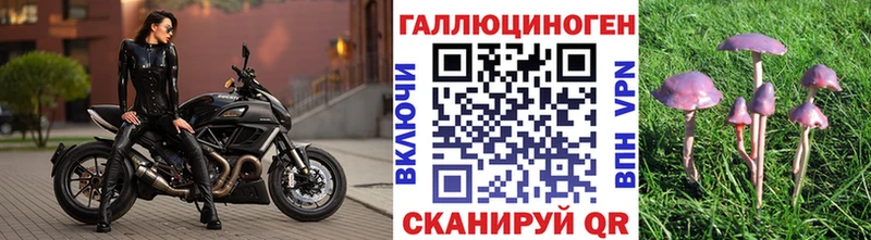 Галлюциногенные грибы Psilocybe где можно купить Александровское