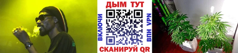 ссылка на мегу tor Александровское Каннабис план